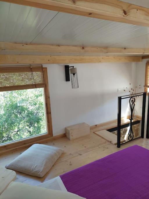 Afionas Das Gruene Haus Eksteriør billede